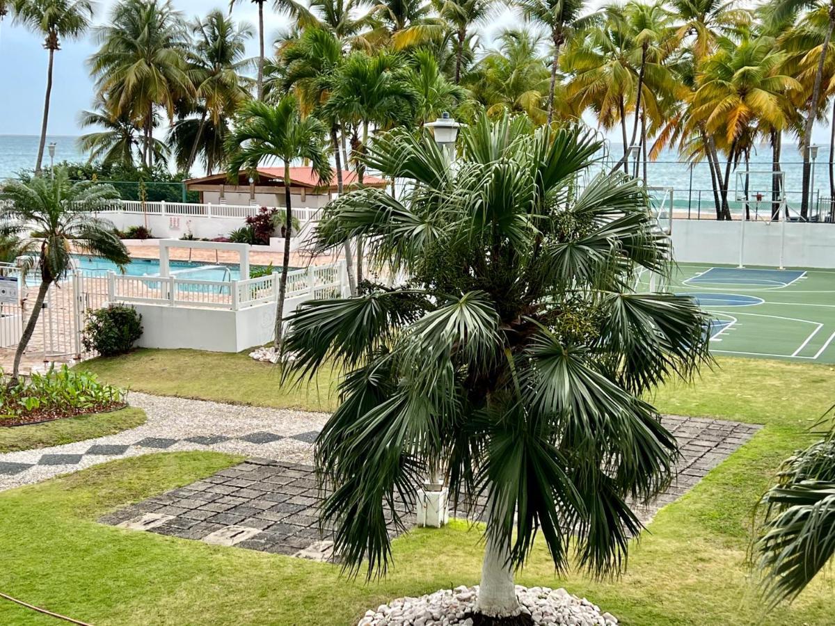 Hobie Oceanfront apartment at Isla Verde San Juan Buitenkant foto